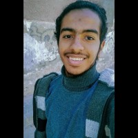 Mohammed Elsayed