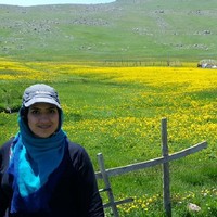 Fatemeh Raoofi