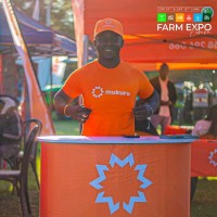 Kaambo Gift