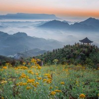 康青青