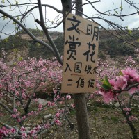 曹丰达