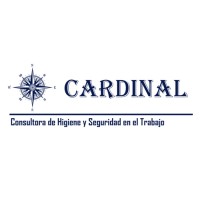 CEO - Lic. Gerardo David Echevarria Consultora Cardinal