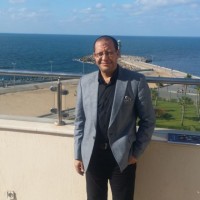 Naseer Elsayd