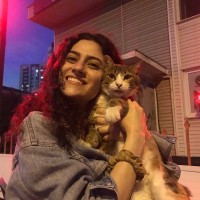 Elçin Özçekiç