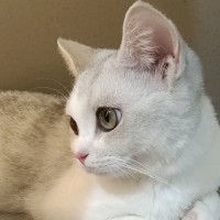 徐鑫鹏