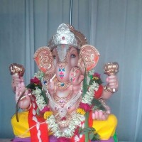 Tushar Pise