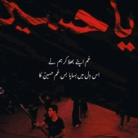 M Zulqarnain