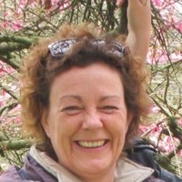Alison Bone
