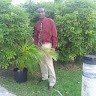 Fernando Browne