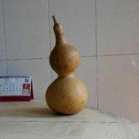 谢玉静