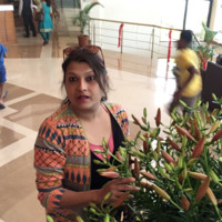 Ruchi Banthiya - Head - Human Resources at ProdEx Technologies