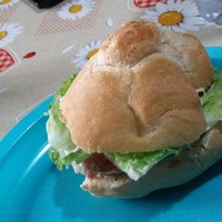Maicol C
