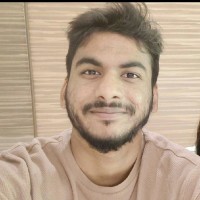 Vignesh B Krishna
