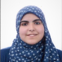 Youmna Amr