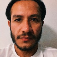 Luis Carlos Alves De Sousa