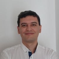 Domenico Mussolino