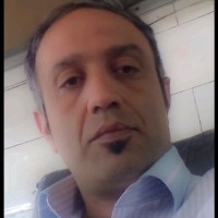 S Balaei