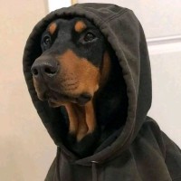 孙佰强
