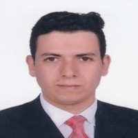 Mahmoud Samir