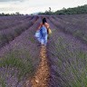 Thi Thao Trinh Tran Lapaire