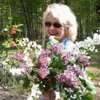 Ann Dempsey