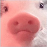 李银英