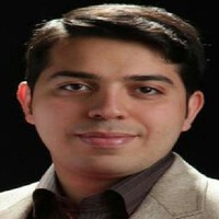 Sayyed Amirpooya Alemzadeh