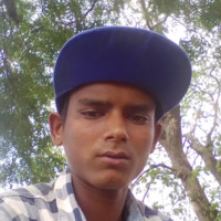 Bhagora Vijay