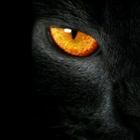 Panther Gaming