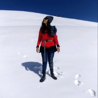 Vaishnavi Paliwal