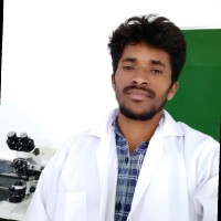 Ravindar Banothu
