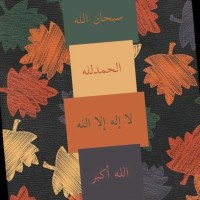 Ahmad Hazeem