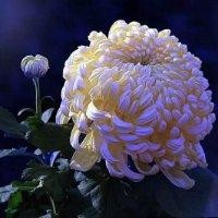吕晓鹏