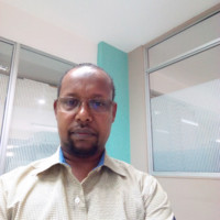 Hassan Amin
