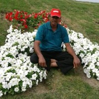Narayan Kathat