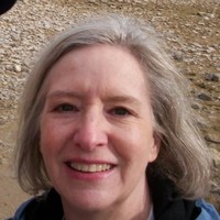 Carol Ronzani, Cpcu