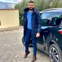 Ionut Bozga