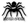 Mister Spider