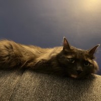 Beatrice Calambro