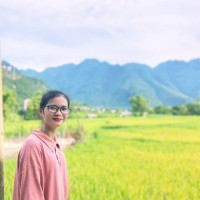Phuong Anh Dao