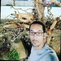 Hussein Abdelrazic