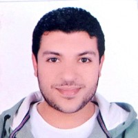 Alaa Sewilam