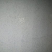 ابو اسلام العبدالله