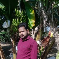 Manohar Dangi