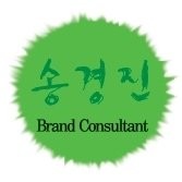 송경진
