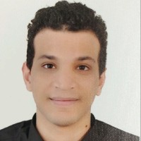Ezz Eldin Mahmoud