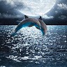 Wendy J Bowers