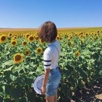 张川谷
