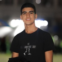 Hossam Aboelreesh