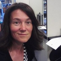 Christin Therese Wendt